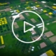 Born to Farm